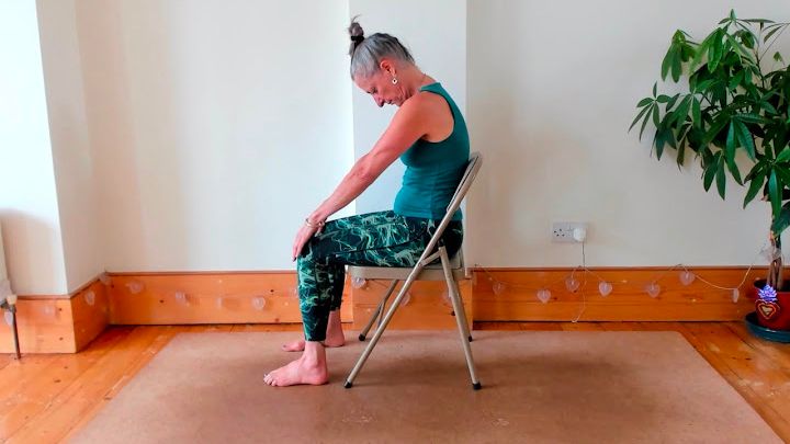 Dina Cohen holding a cat pose