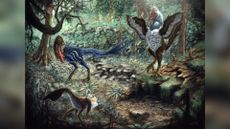 Artist&rsquo;s depiction of two chicken-like dinosaurs in a forest.