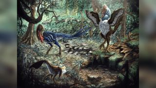 Artist’s depiction of two chicken-like dinosaurs in a forest.
