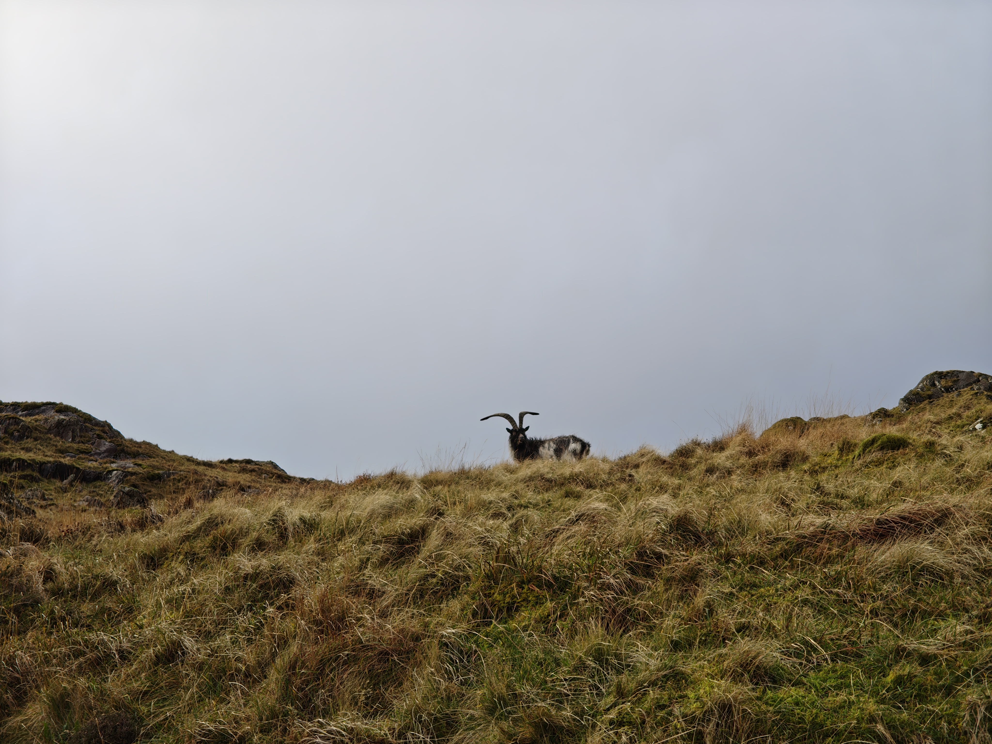 A camera sample captured on the Nothing Phone 3.