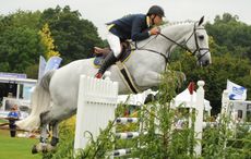 Bruce Menzies riding showjumping horse Sultan V