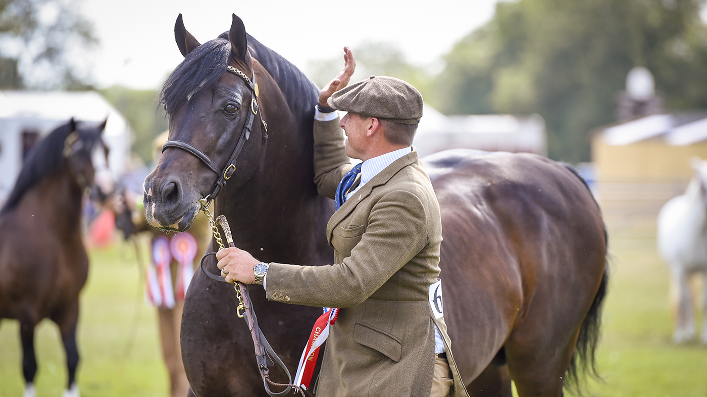 MAIN-Llanarth-Prince-of-Wales-1.jpg