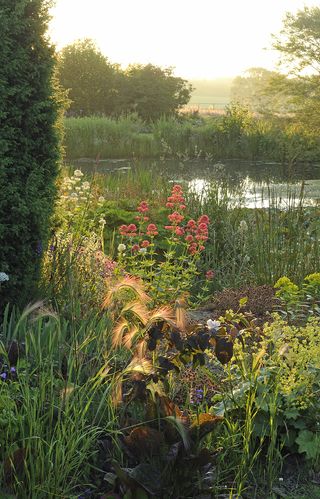 Rhodds Farm - Val Corbett / Country Life