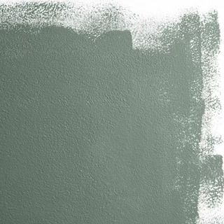 Backdrop green paint