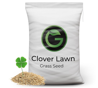 bag of Clover Lawn Seed - Grass Seed & White Clover - 5kg