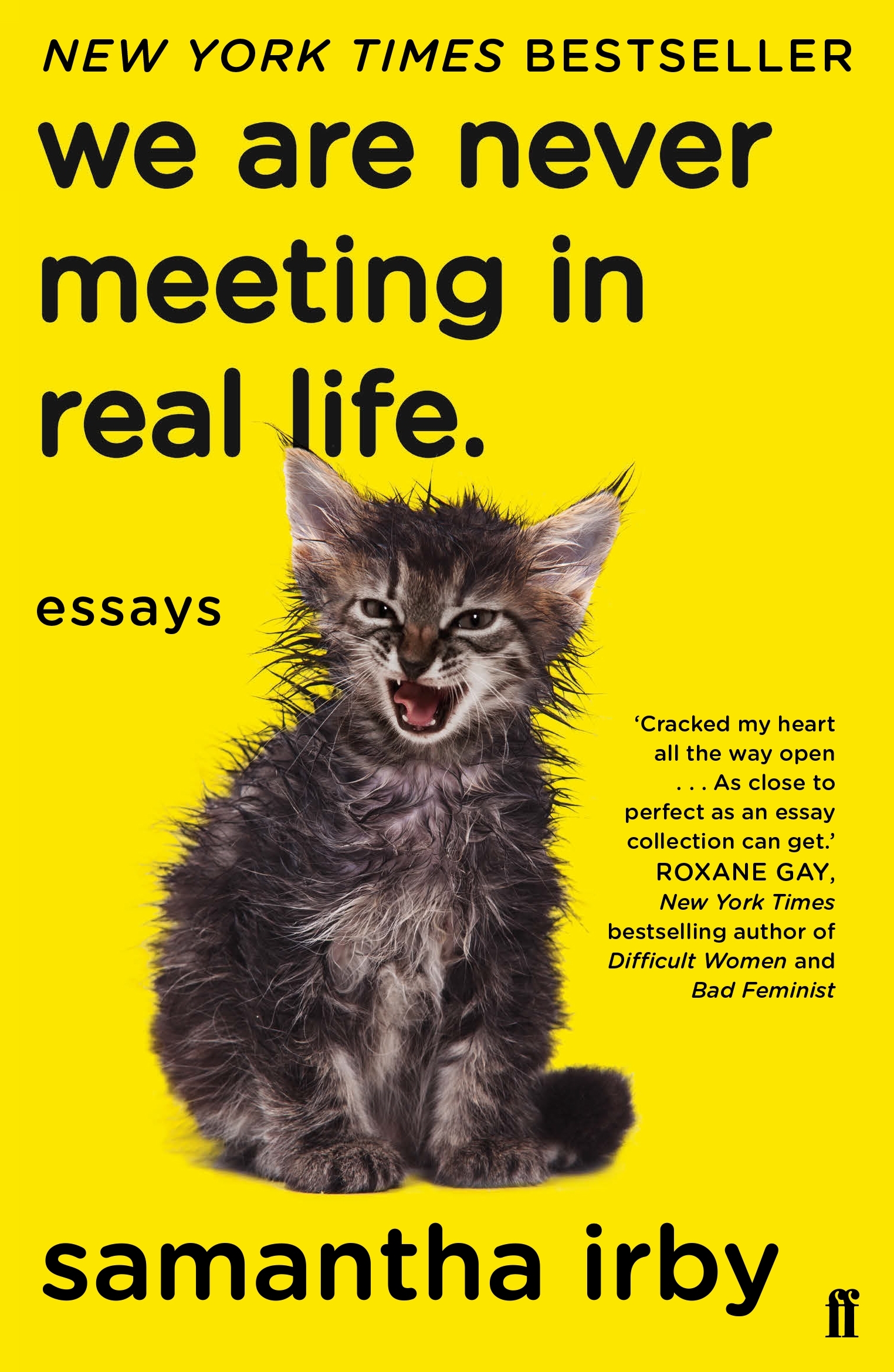 the cover of the book we are never meeting in real life with a yellow backdrop and an angry looking wet kitten