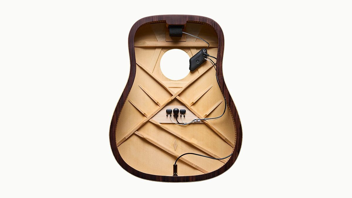 L.R. Baggs HiFi Duet