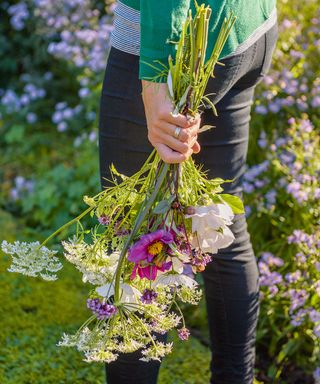woman holding cut flowers from garden