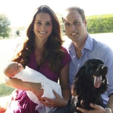 Princess Kate lupo