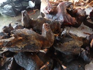 Smoked fruit bats for sale.