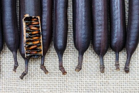 cassia seeds