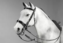 Equipe-Patent-Rolled-Bridle.jpg