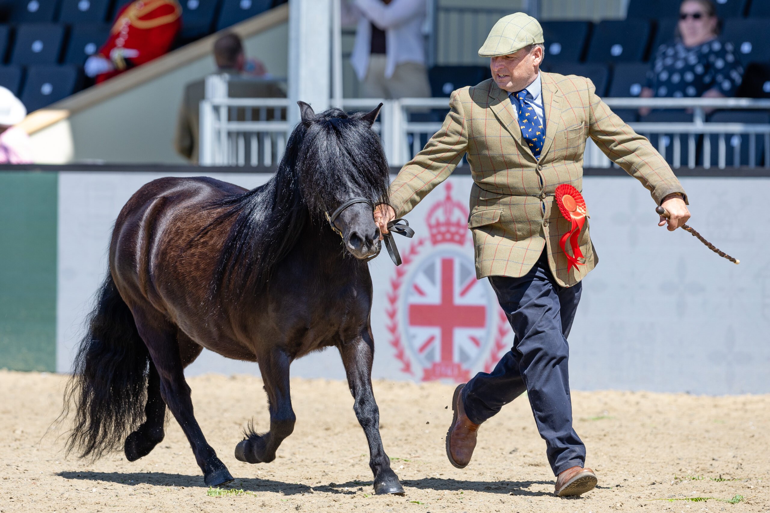 Reserve-Champion_RWHS_David-Hodge-Julian-Walters_Sharpton-Kerri-Ann-Shetland_The-Horse-Hound-Mountain-and-Moreland-Supreme-In-Hand-Championship_20250515-6-scaled.jpg