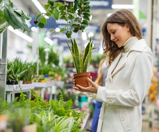 A young woman chooses home plants in a garden center