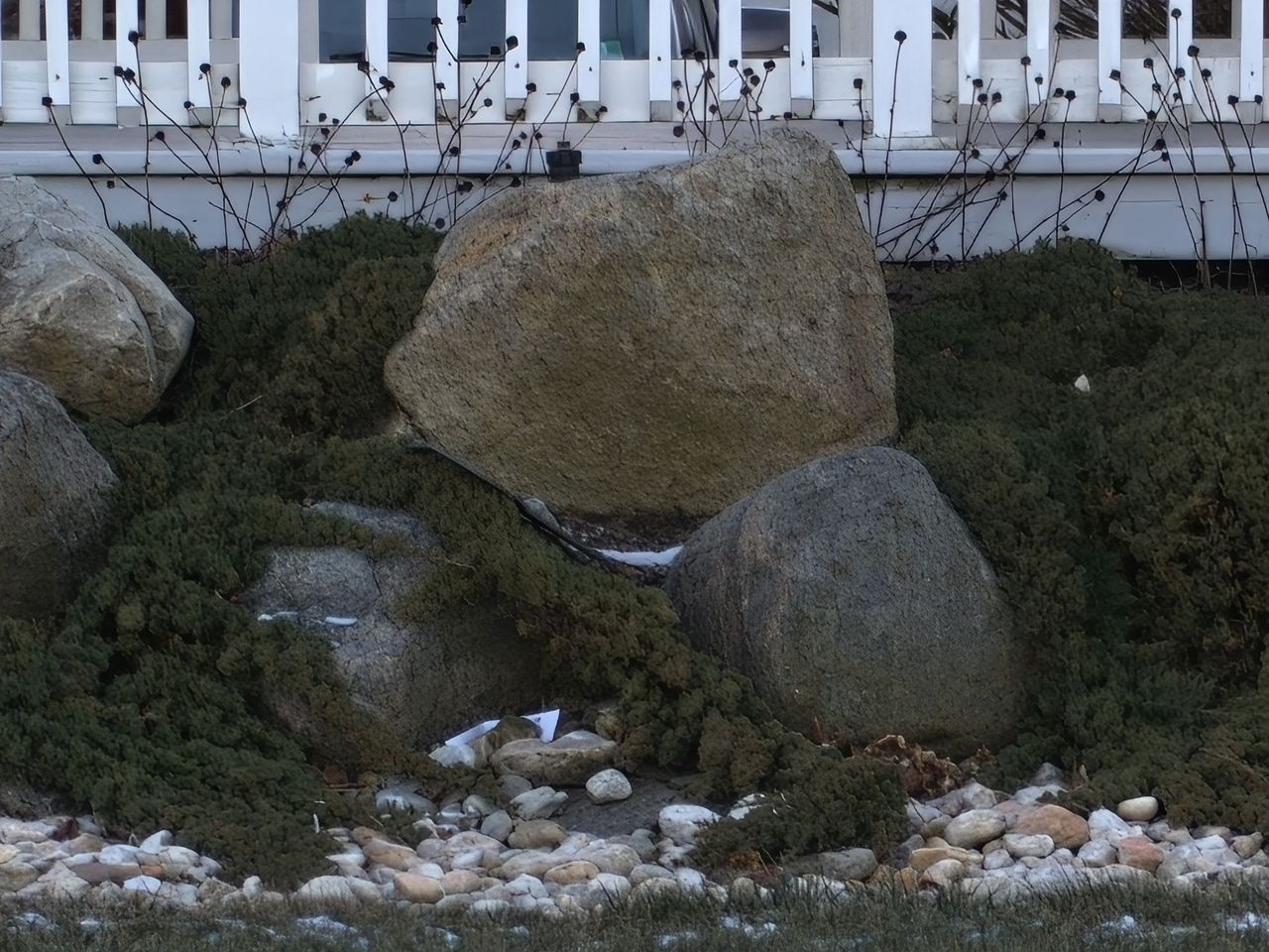 OnePlus 13 zoom sample.