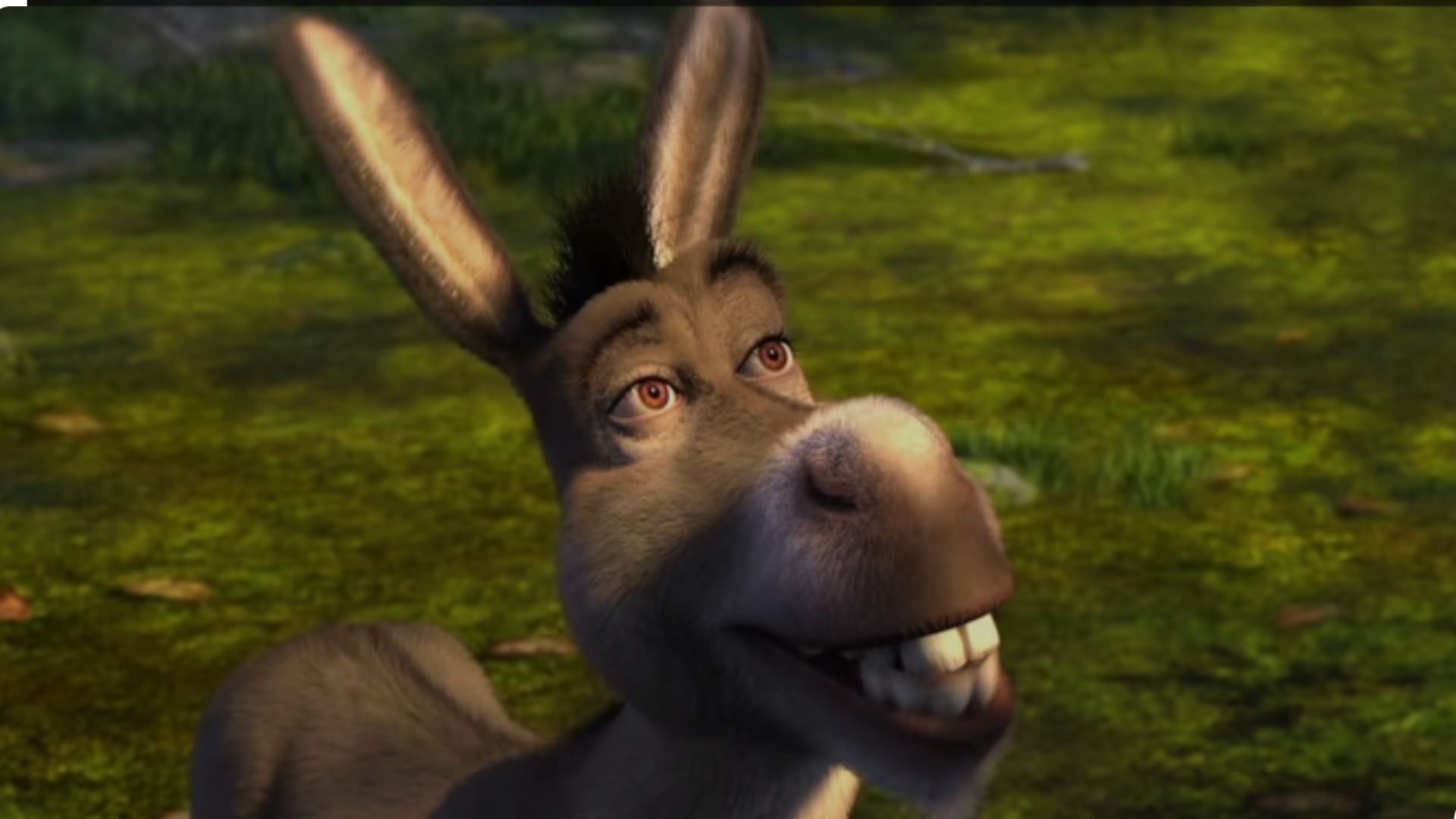 an image of the cartoon Donkey from Shrek 2