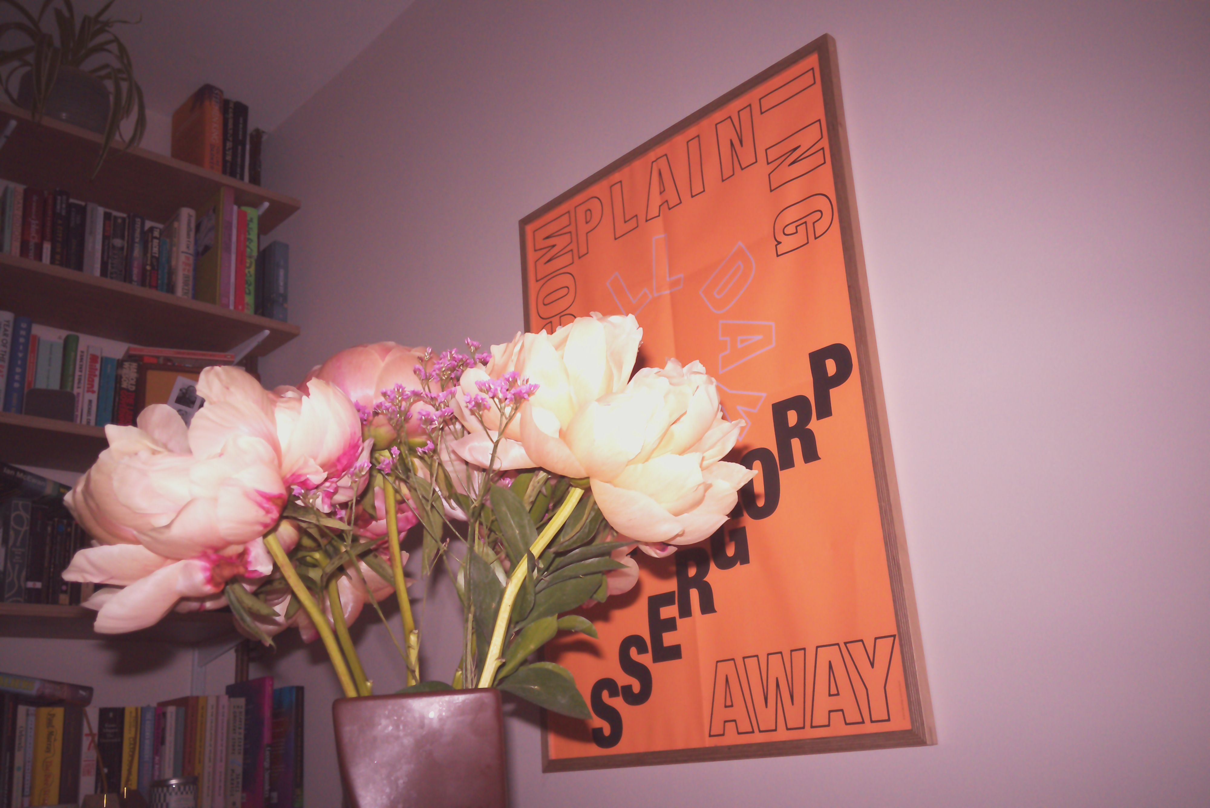 Photograph taken with the RewindPix digital compact showing a bunch of flowers in foreground, brightly flashlit, and a poster and bookshelves in background