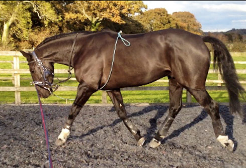 Rosie Fry's 4-year-old Archie