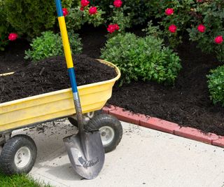 mulching borders with compost