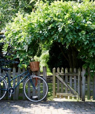 Traditional picket gate shown beside a bicycle, leading to a wooded garden