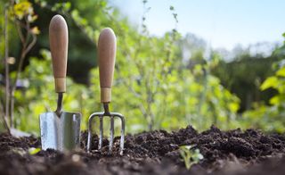 Browse this week's best garden tools deals