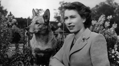 The Queen's Corgis were beloved, but they didn't like this one thing