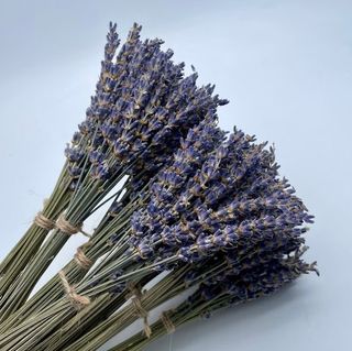 bunch of dried lavender 