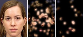 Neurons responded to a whole face, but showed much less response to a partially obscured face. 