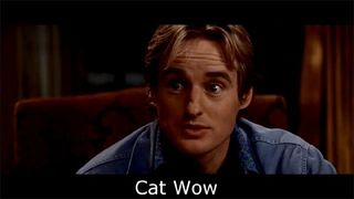 Cat Wow Owen Wilson