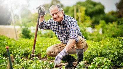 A smiling older man in a garden