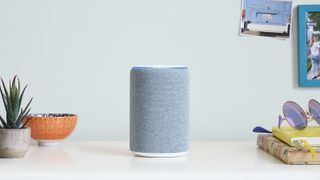 Alexa vs Google Assistant: Amazon Echo
