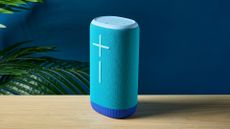 Photograph of Ultimate Ears Everboom Bluetooth speaker