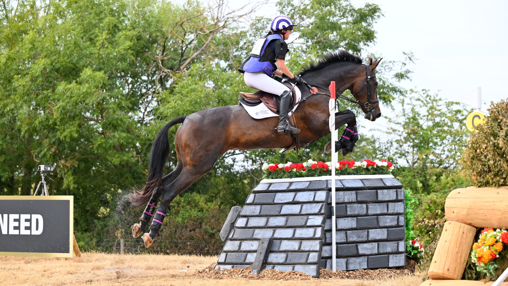 Emma Thomas and May Day Van Stal Romano, runner-up in Hartpury intermediate championship