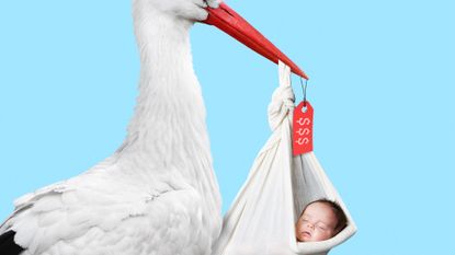 Illustration of a stork holding a baby bundle with a price tag
