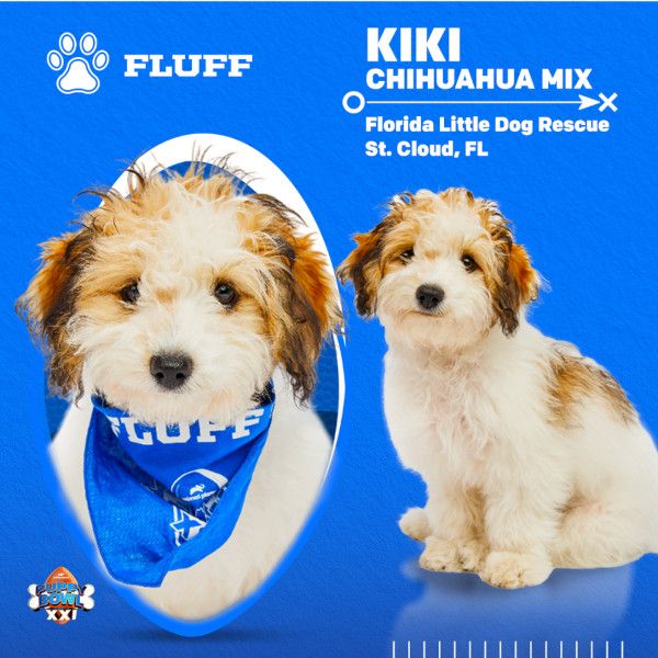 Puppy Bowl 2025 Kiki