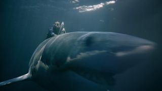 The team at visual effects and animation studio ILP in Sweden helped out on the shark section