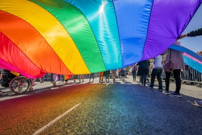 Conversion therapy: Gay Pride Parade-People marching with a large Flag, Reykjavik, Iceland
