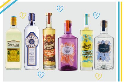 A selection of the best Aldi gins for 2022