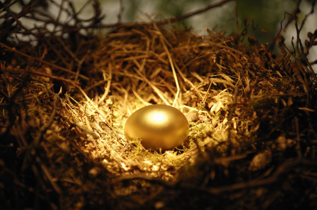 Gold egg in a nest