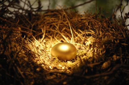 Gold egg in a nest