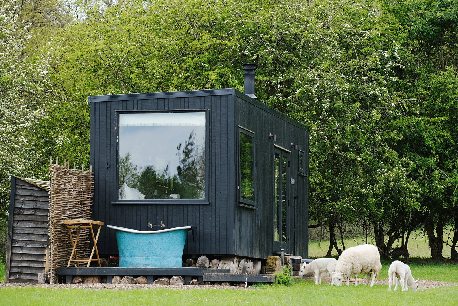 Black wood-clad cabin with a turquoise, outdoor bath, surrounded by sheep