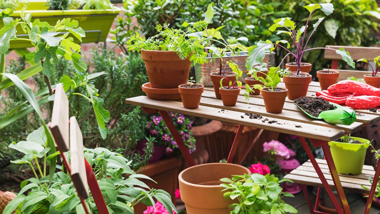 Small vegetable garden on a balcony