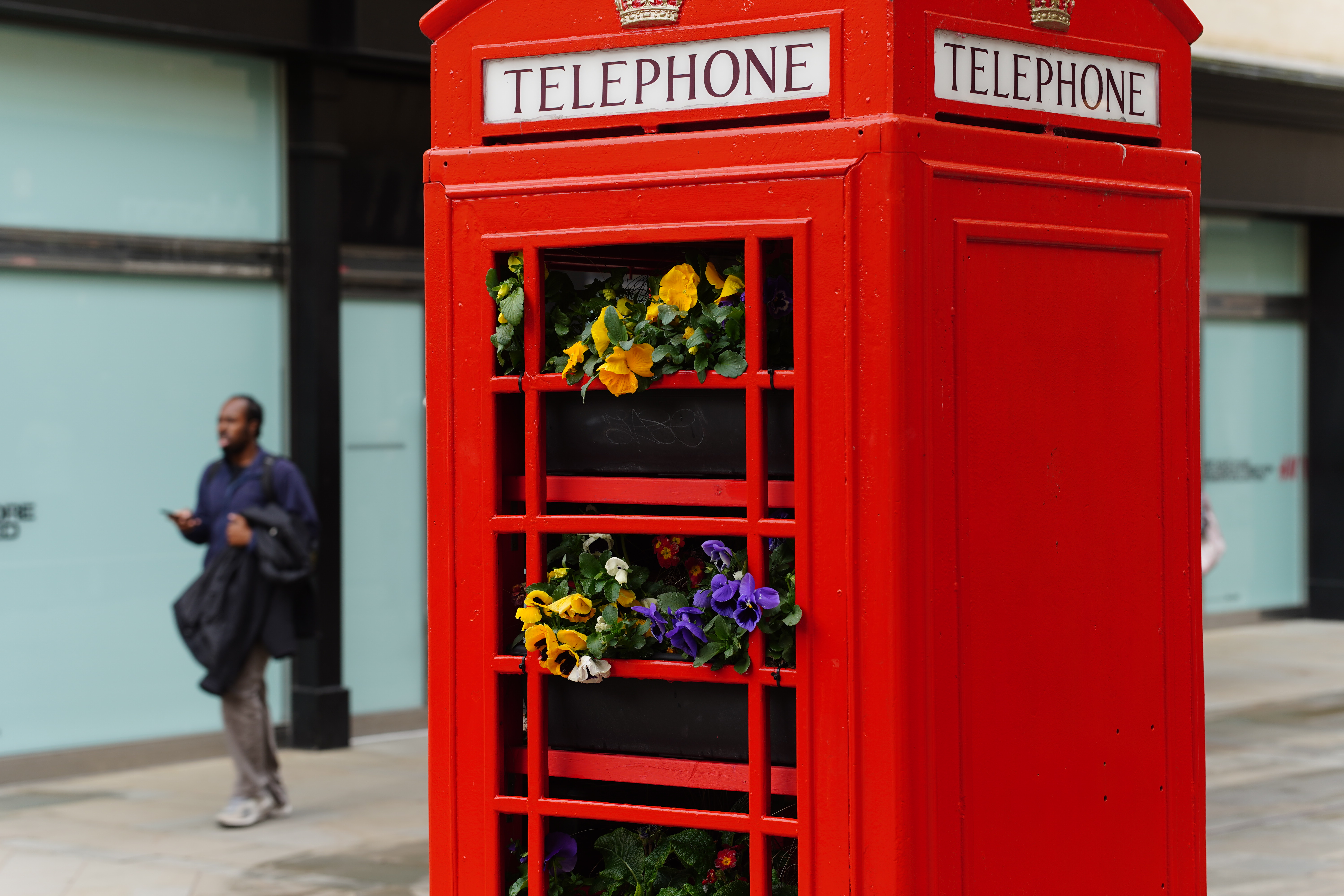 Meike AF 85mm f/1.8 SE II sample image