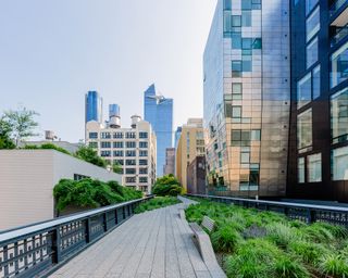 A modern rooftop garden with gray walkway and small green shrubs flanked by large glass skyscrapers.