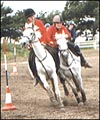 55D68975-86C5-4FB2-B781-CC103B69ED2B.jpg
