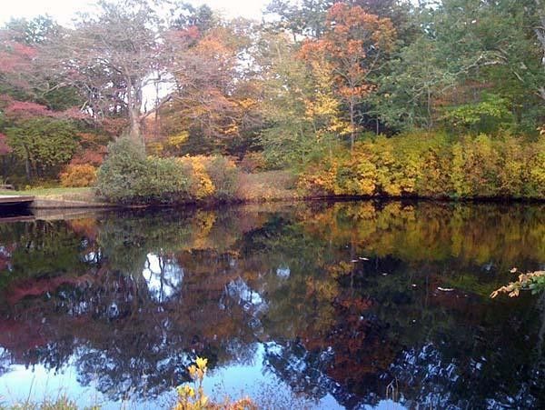 The colors were stunning