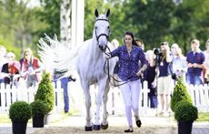 Luhm&uuml;hlen first trot-up Kirsty Short Cossan Lad