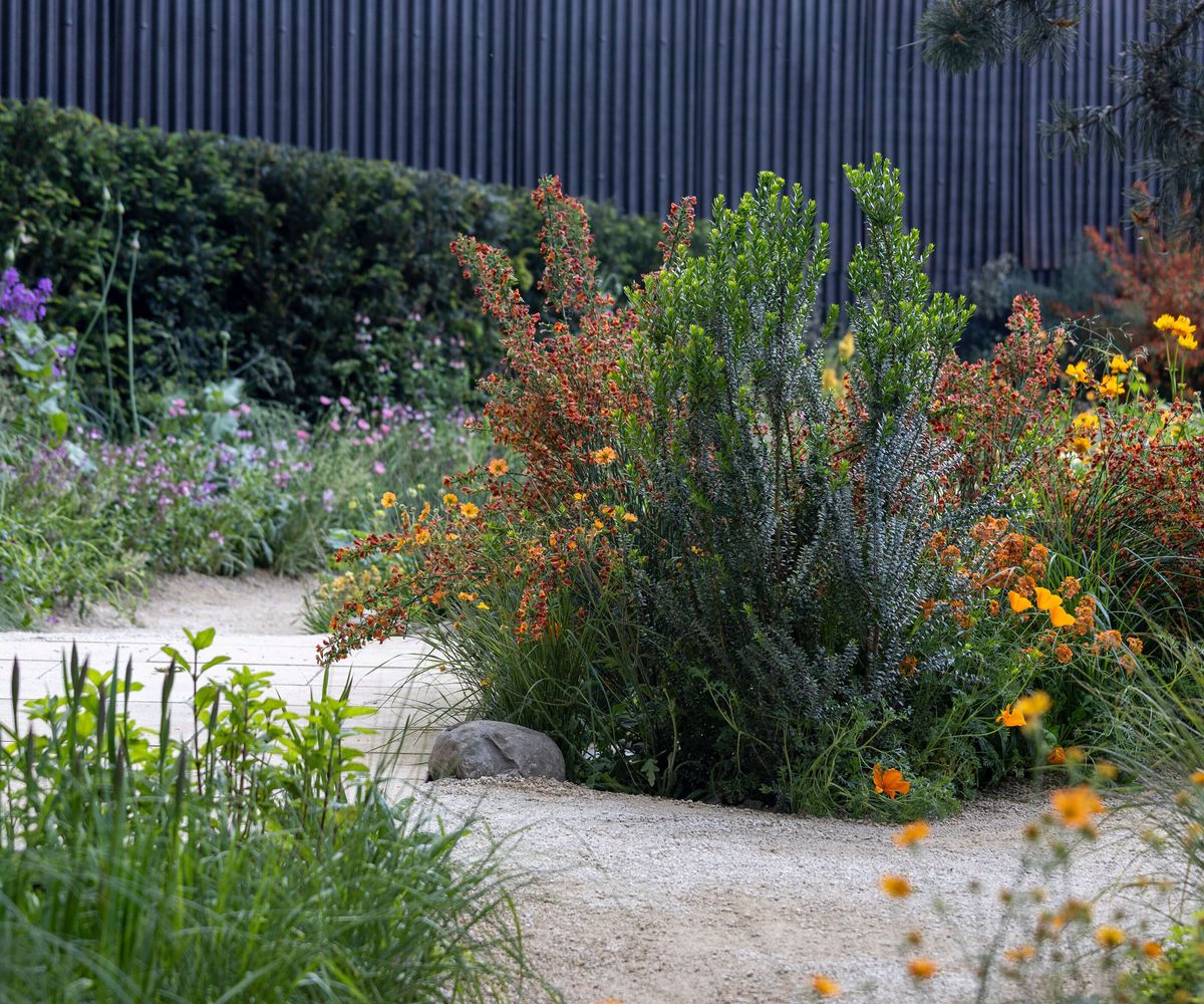 10 garden trends to look out for in 2025 | Homebuilding