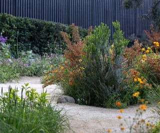 A gravel garden in the UK with Mediterranean style plants