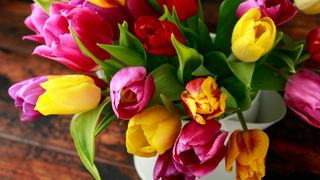 Bunch of tulips in a vase